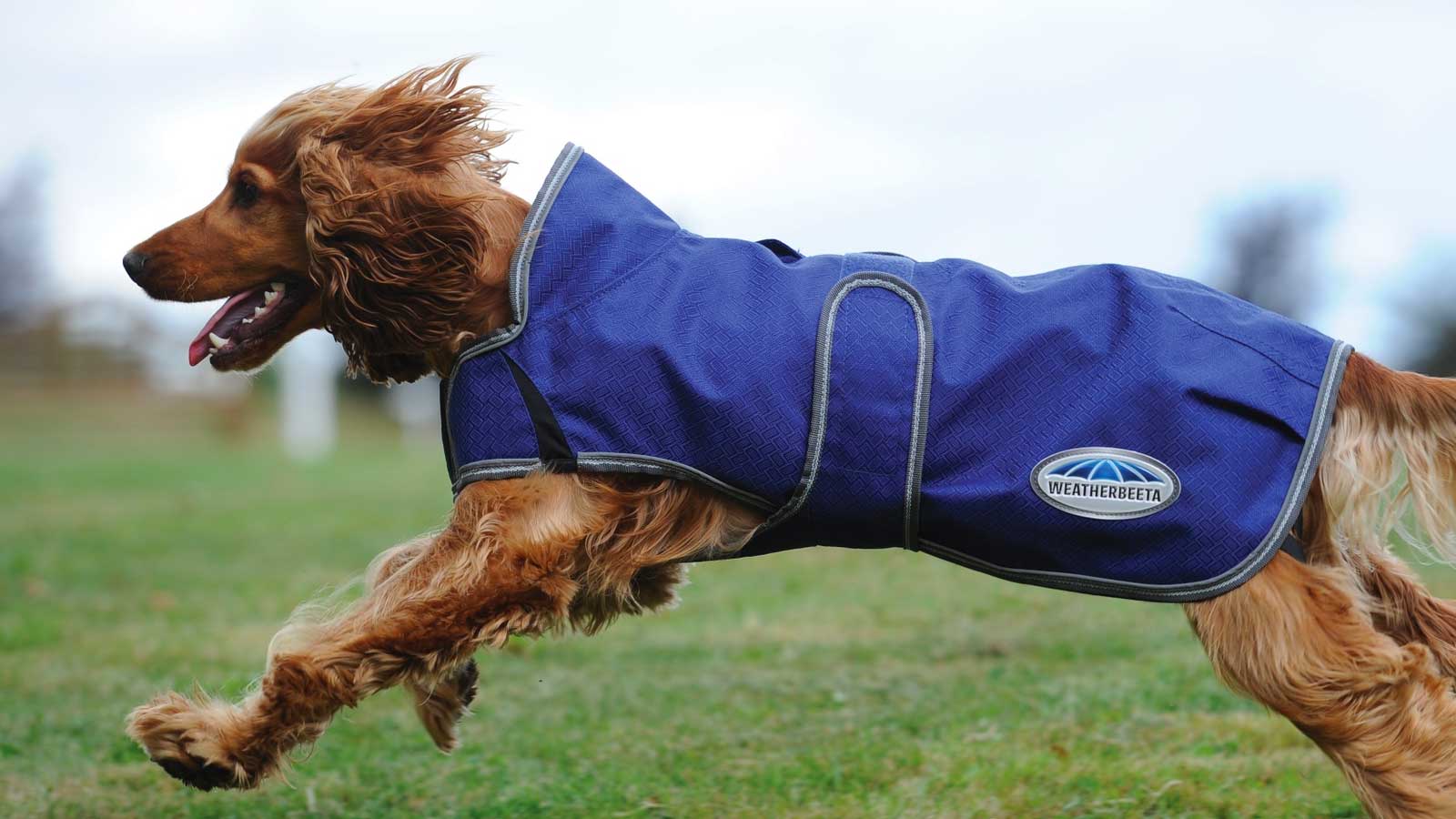 Pets at home outlet dog coats