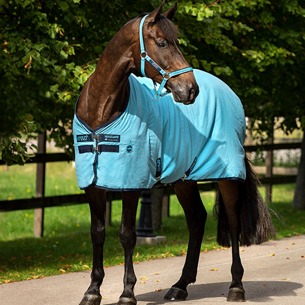 The Amigo Stable Sheet in Blue#Blue