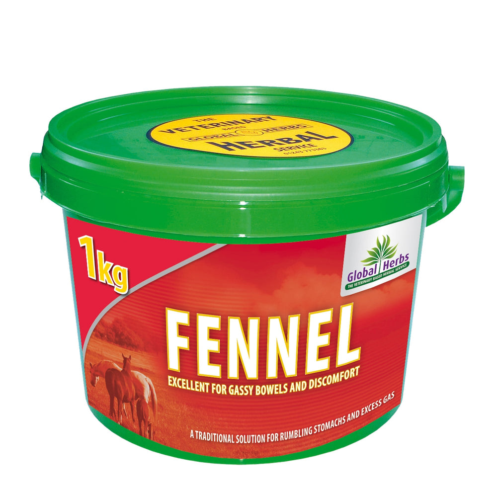 Global Herbs Fennel Seeds