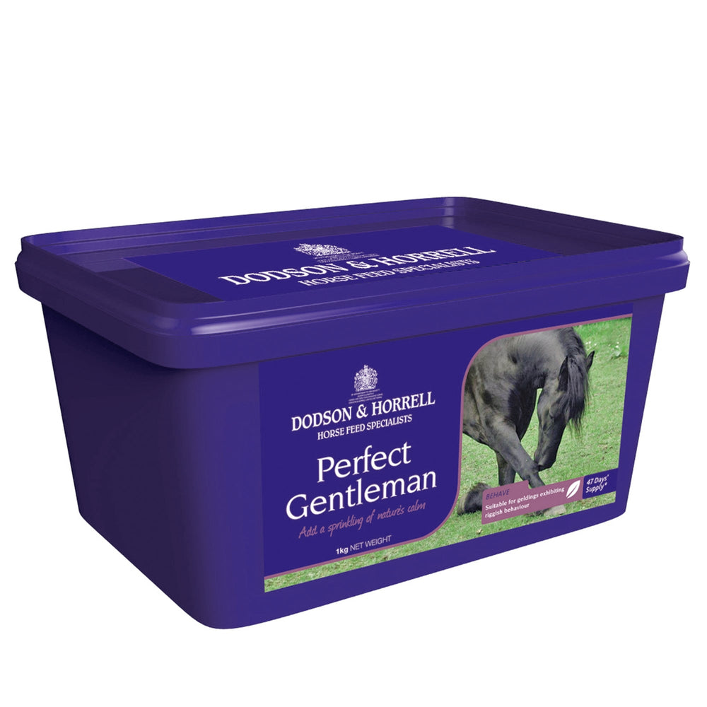 Dodson & Horrell Perfect Gentleman Horse and Pony Supplement