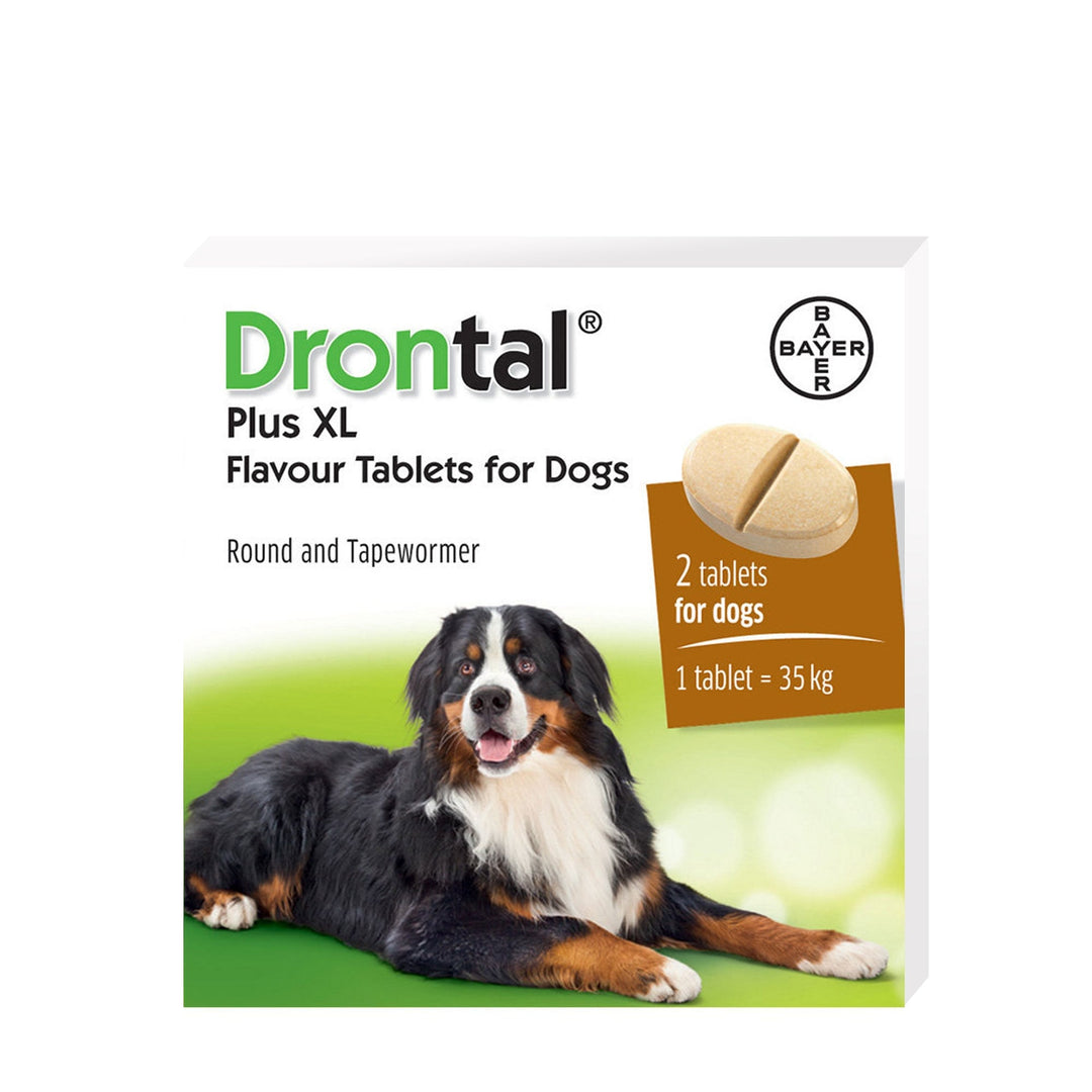 Drontal Plus XL Dog Wormer 2 Pack