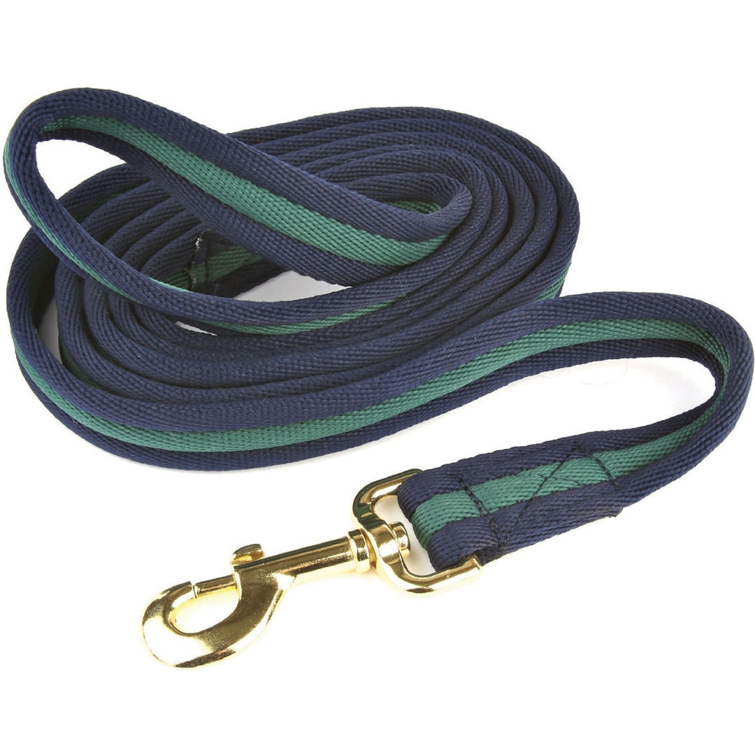 The Hy Soft Webbing Two-Tone Lead Rein in Green#Green