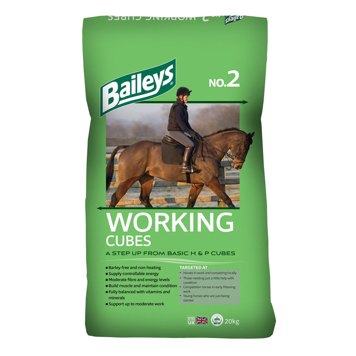 Baileys No.2 Working Cubes 20kg