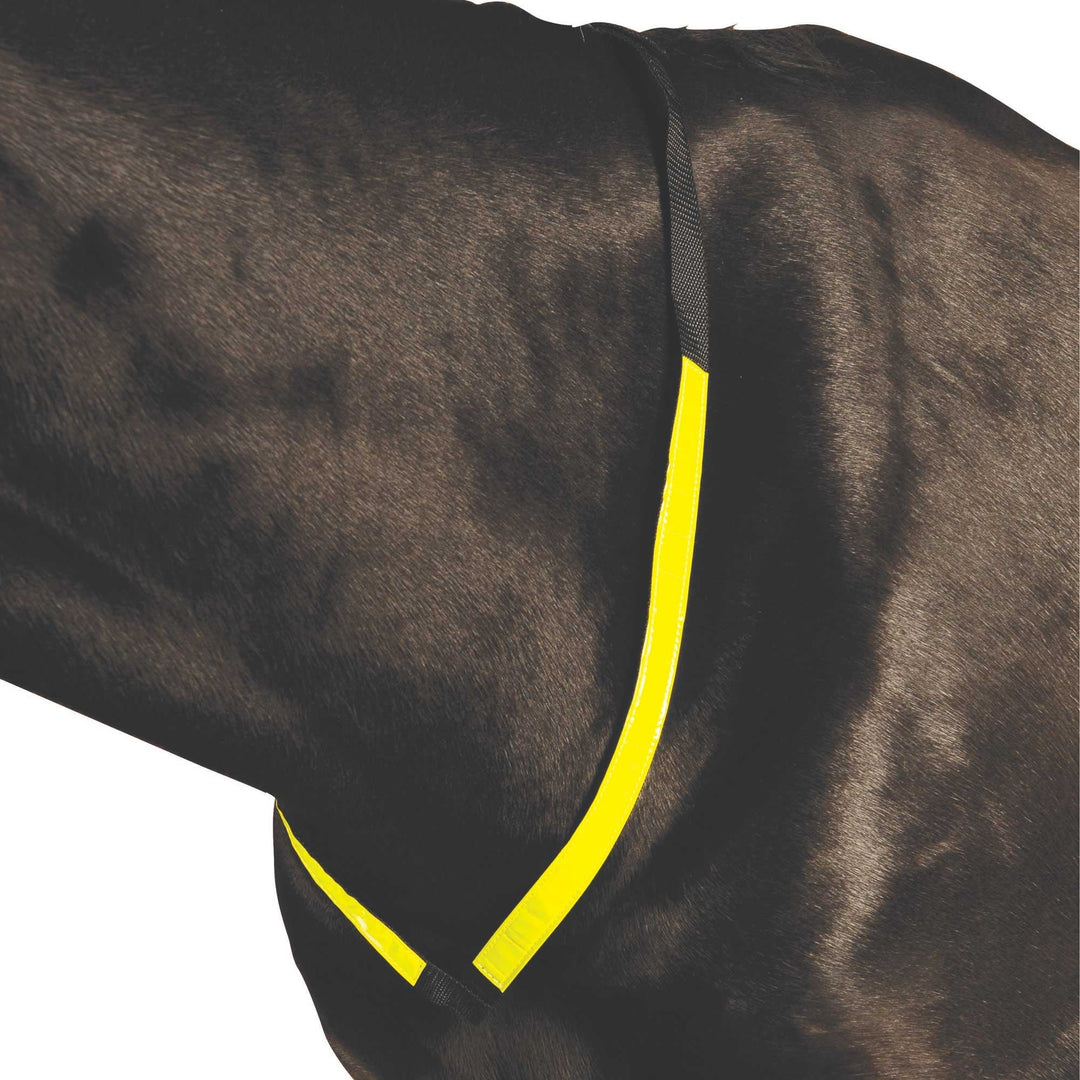 The Roma Reflective Breastplate in Yellow#Yellow