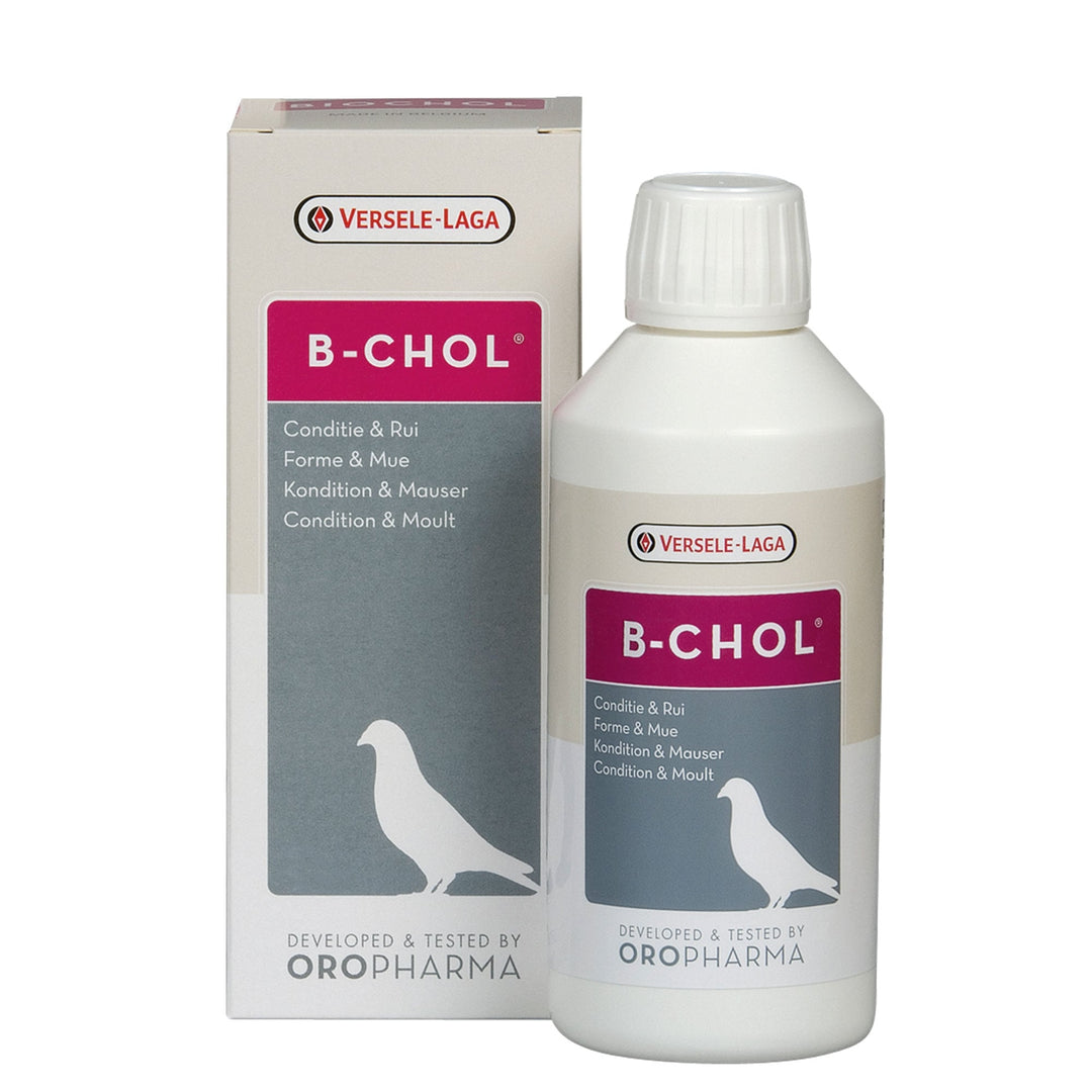 Versele-Laga Oropharma B-Chol Condition & Moult Supplement for Pigeons 500ml