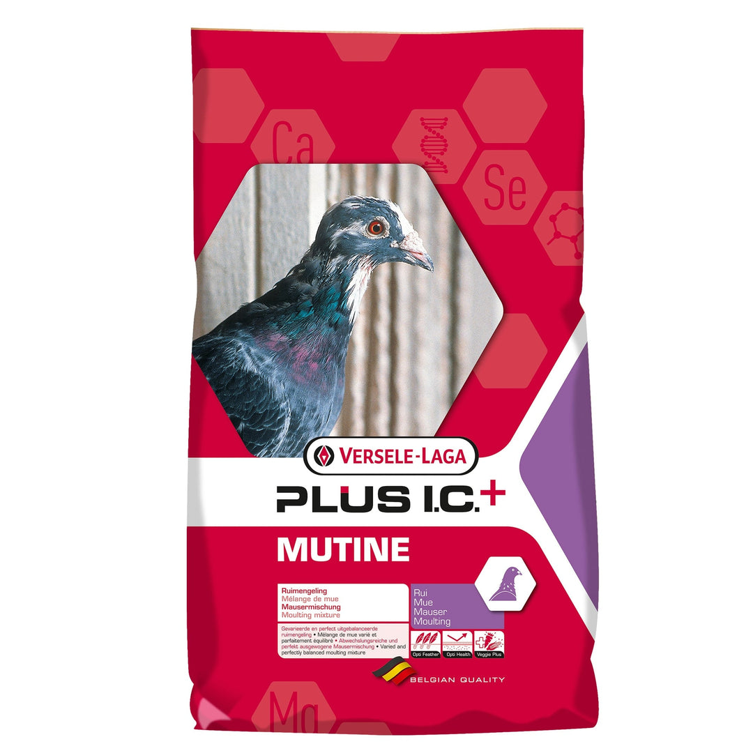 Versele-Laga Plus I.C. Mutine Complete Moulting Mix for Racing Pigeons 20kg