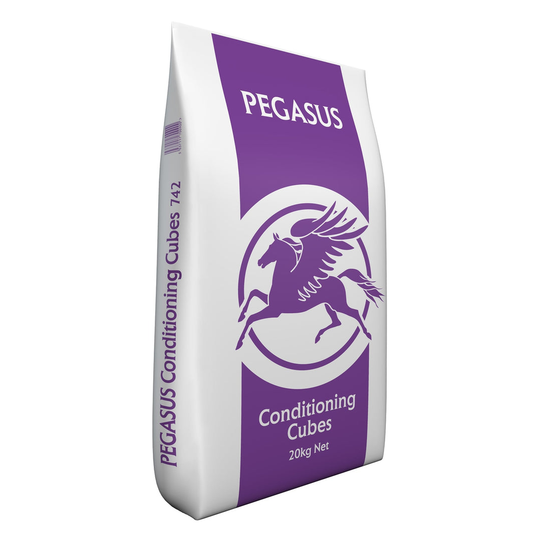 Pegasus Conditioning Cubes 20kg