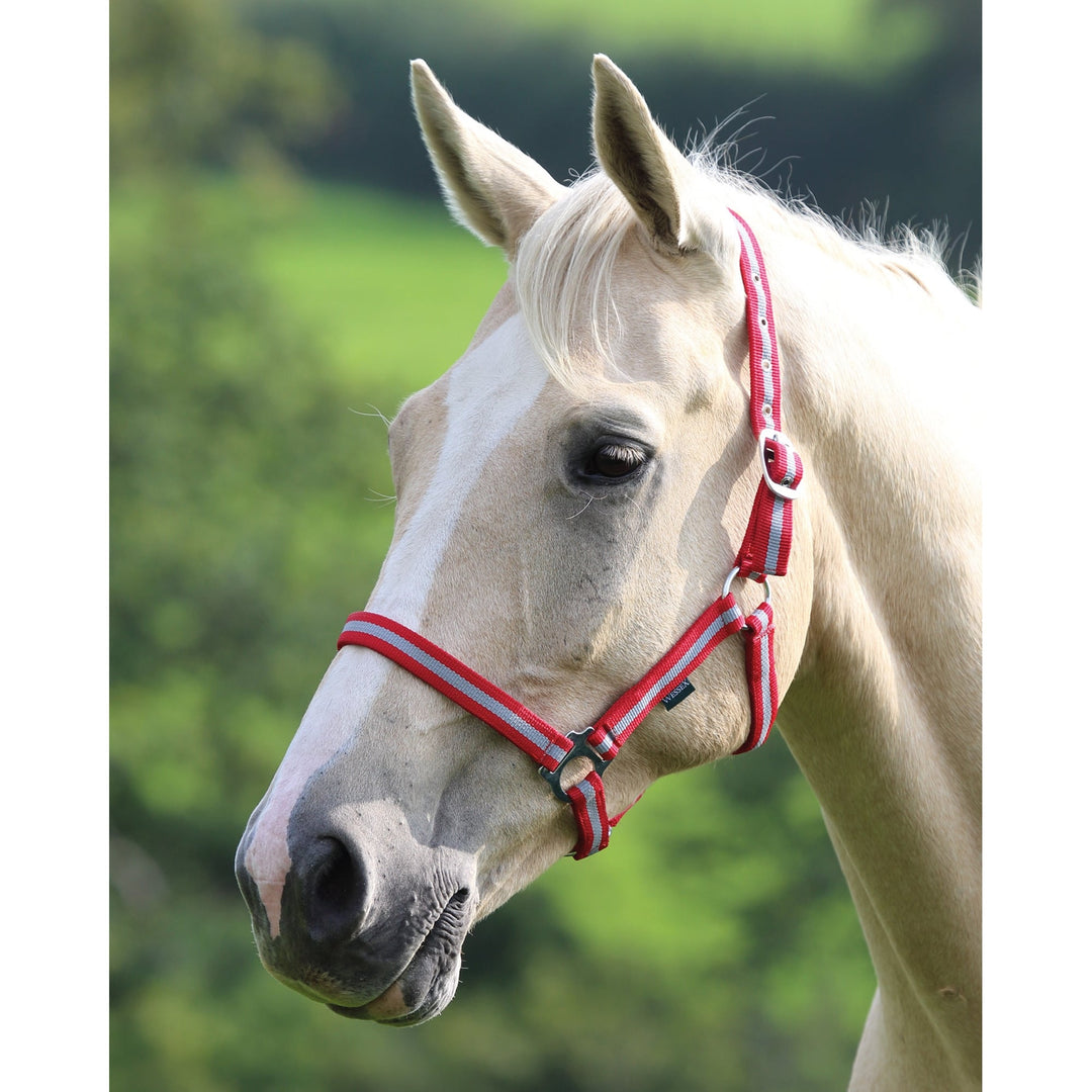 The Shires Wessex Nylon Headcollar in Red#Red
