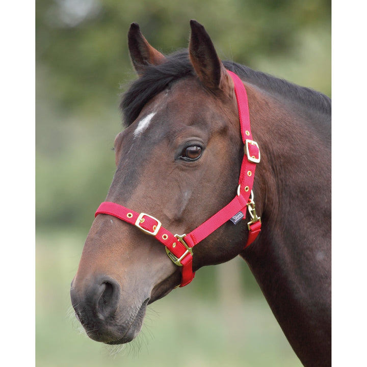 The Shires Nylon Headcollar in Red#Red
