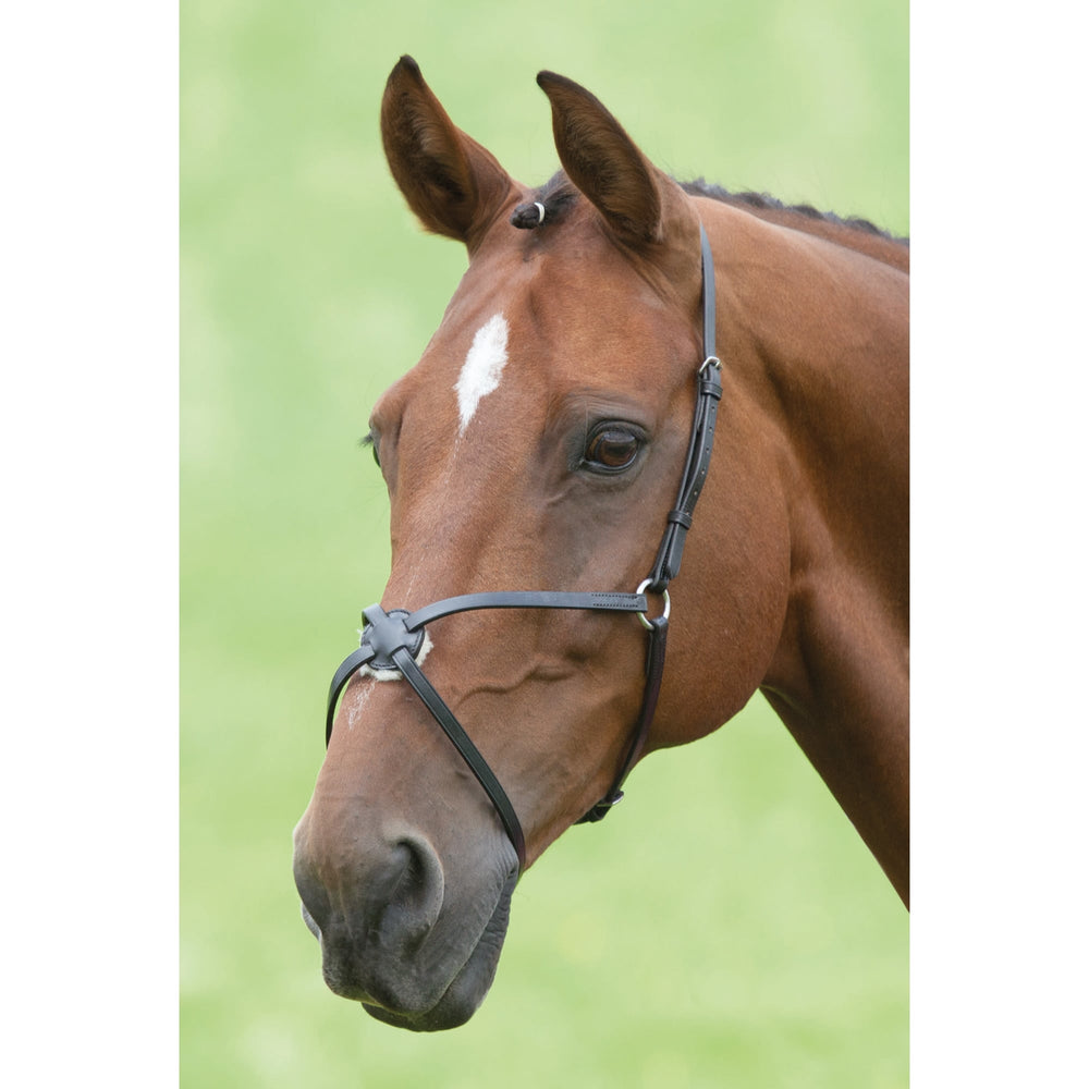 The Shires Blenheim Grackle Noseband in Black#Black