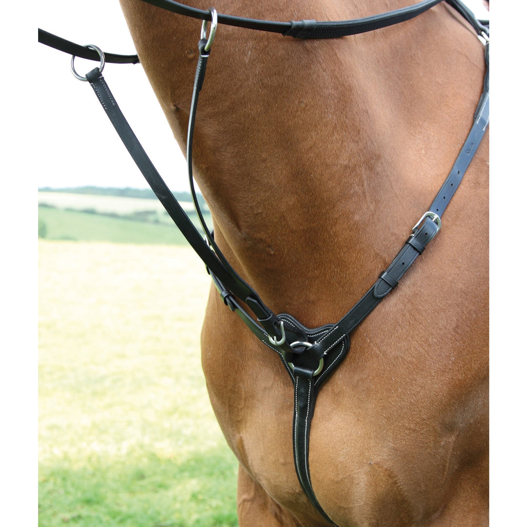 The Shires Three Point Breastplate in Black#Black