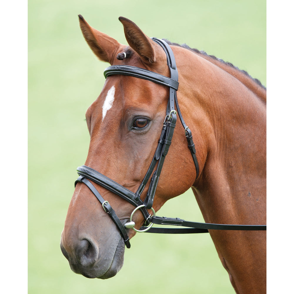 Shires Salisbury Bodenham Flash Bridle in Black#Black