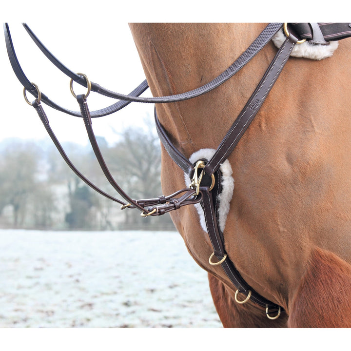 The Shires Five Point Breastplate in Brown#Brown