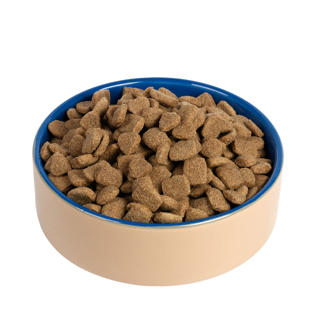 Chappie Dry Dog Food with Beef & Cereals