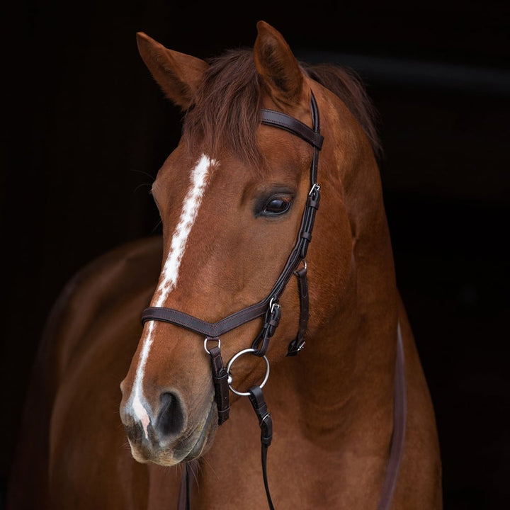 Rambo Micklem Original Competition Bridle in Brown#Brown