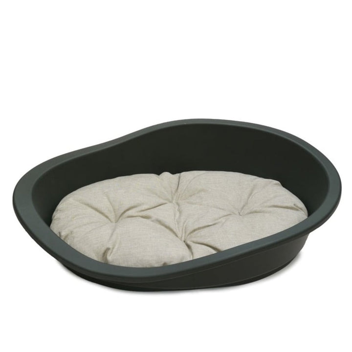 The Rosewood Sonny Plastic Bed in Grey