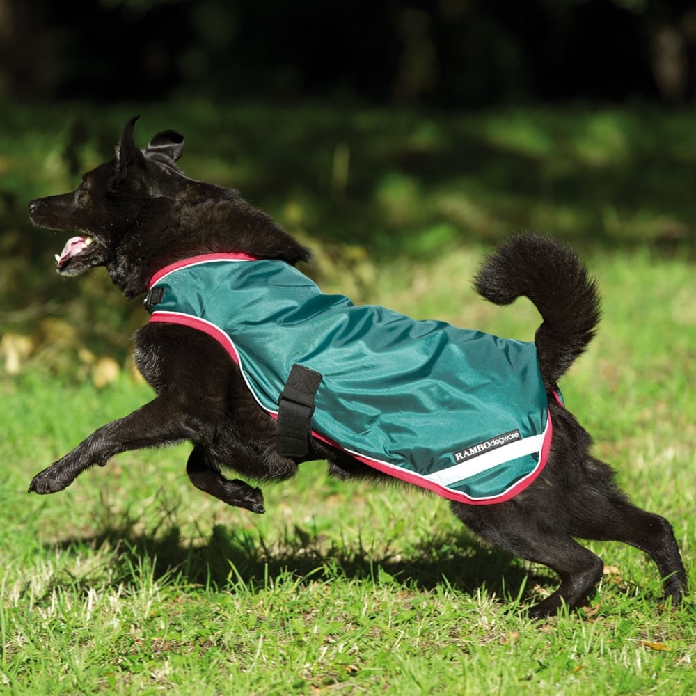 Rambo Waterproof Dog Rug in Green#Green