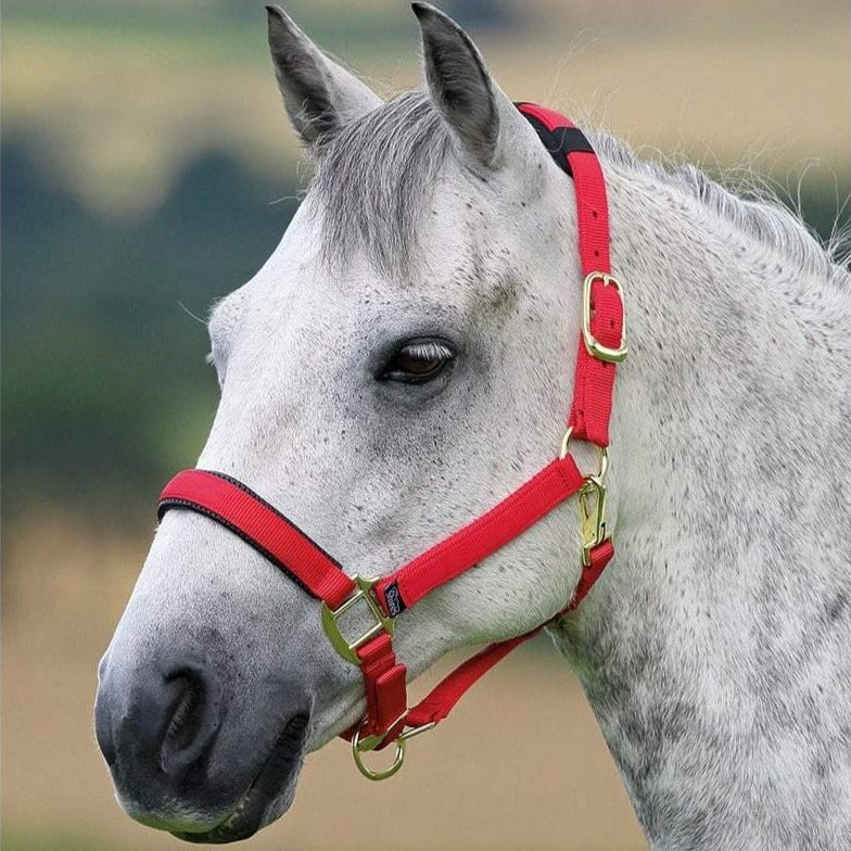 The Shires Topaz Padded Headcollar in Red#Red