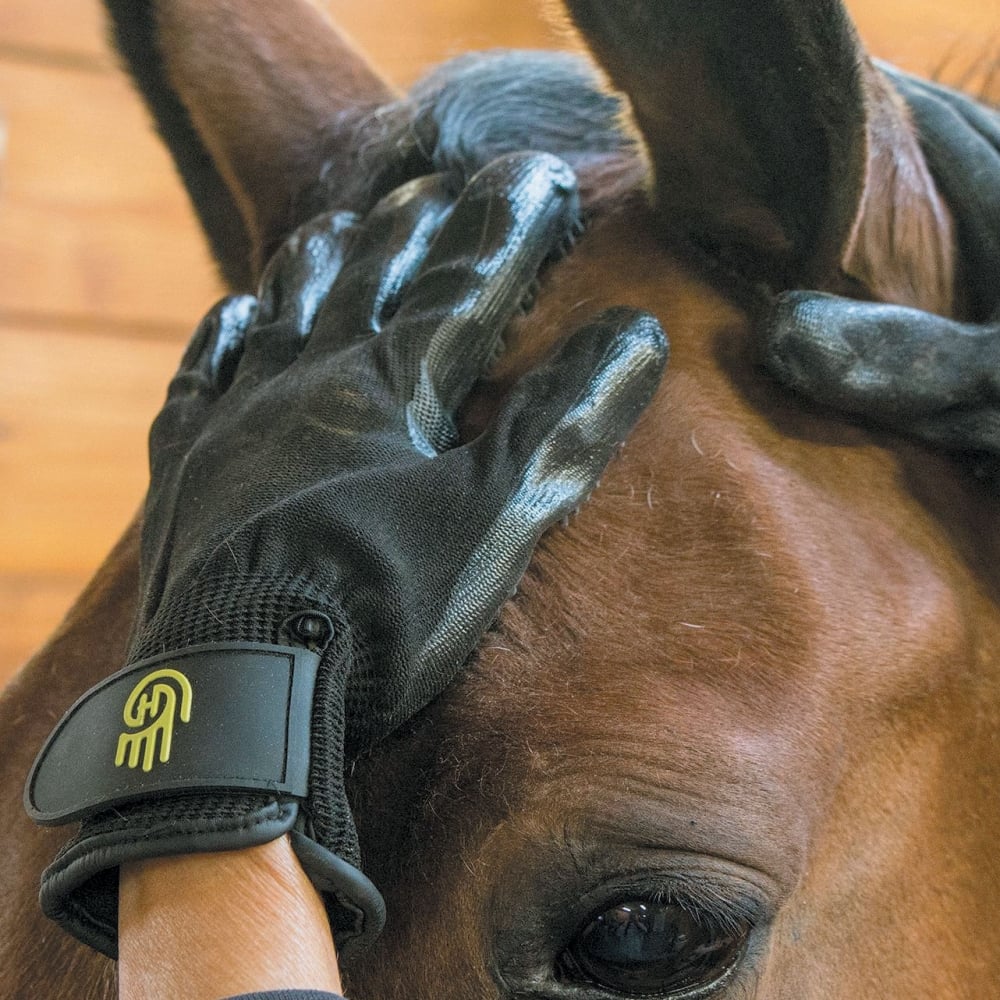 LeMieux Hands On Grooming Glove