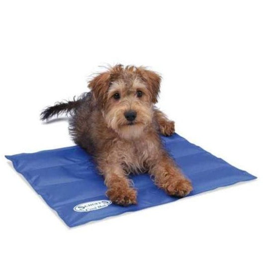 The Scruffs Cool Mat for Pets in Blue