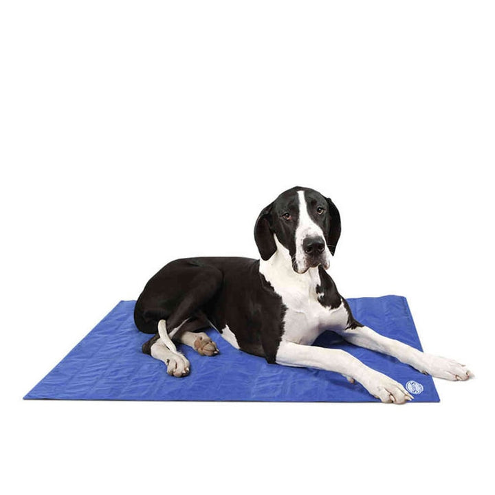 The Scruffs Cool Mat for Pets in Blue#Blue