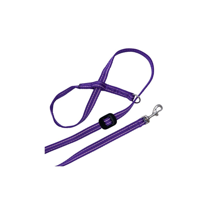 The Gencon All-in-One Clip to Collar Headcollar in Purple#Purple
