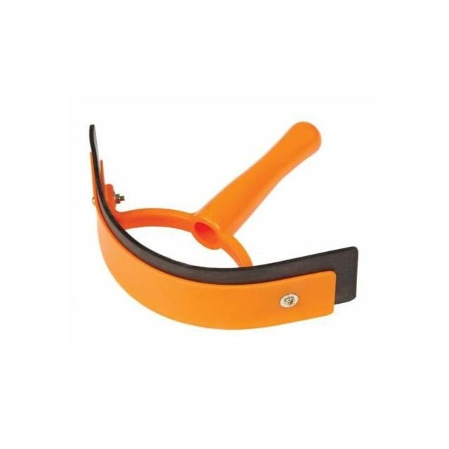 Roma Brights Sweat Scraper in Orange#Orange