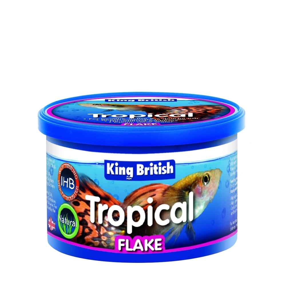King British Tropical Fish Flake Fish Food 12g