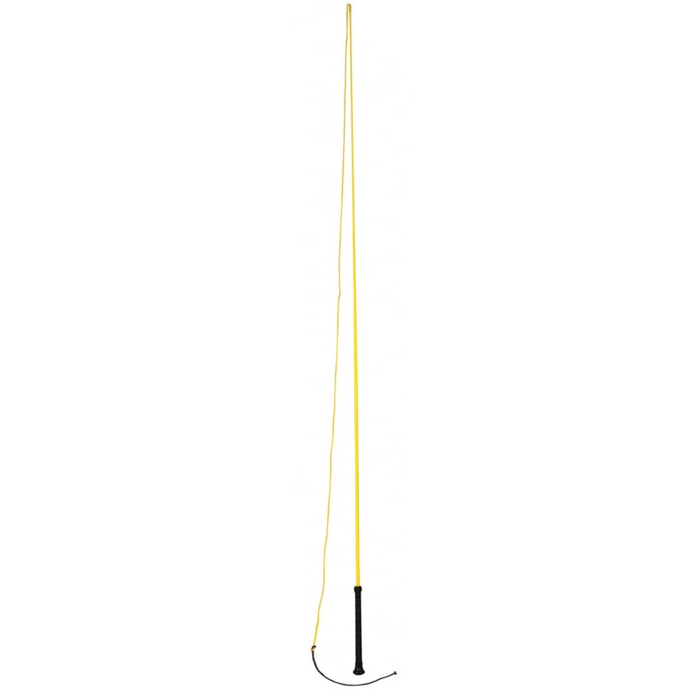 The Dublin Brights Lunge Whip in Yellow#Yellow