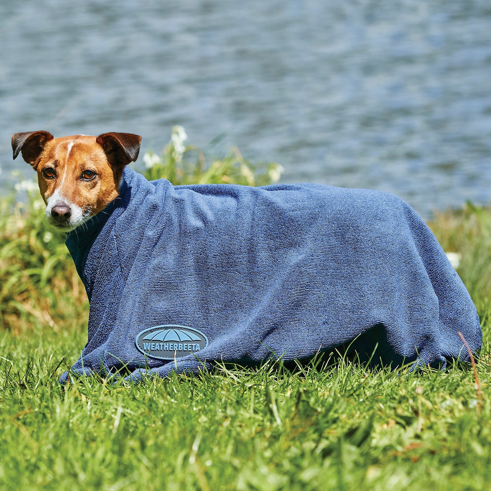 The Weatherbeeta Comfitec Dry-Dog Bag in Navy#Navy