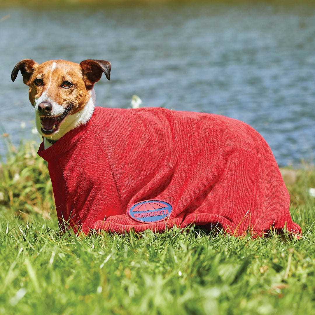 The Weatherbeeta Comfitec Dry-Dog Bag in Red#Red