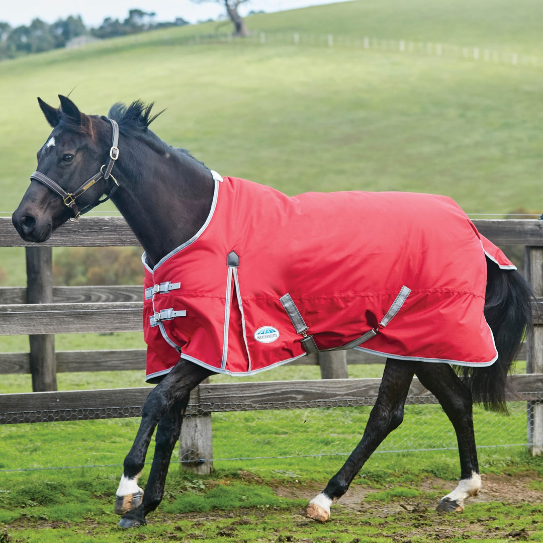 The Weatherbeeta Comfitec Classic 220g Standard Neck Turnout Rug in Red#Red