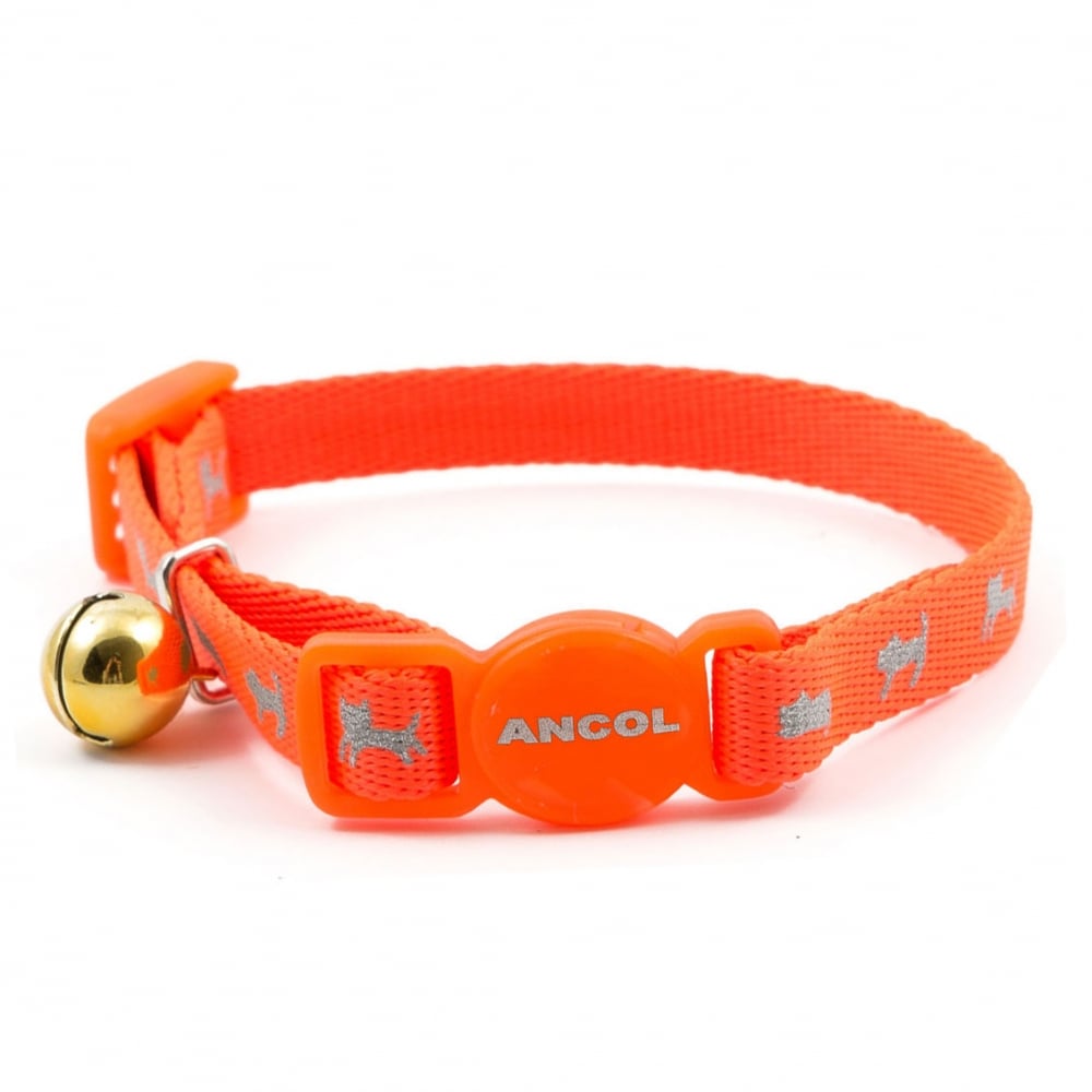 The Ancol Hi-Vis Kitten Collar with Bell in Orange#Orange