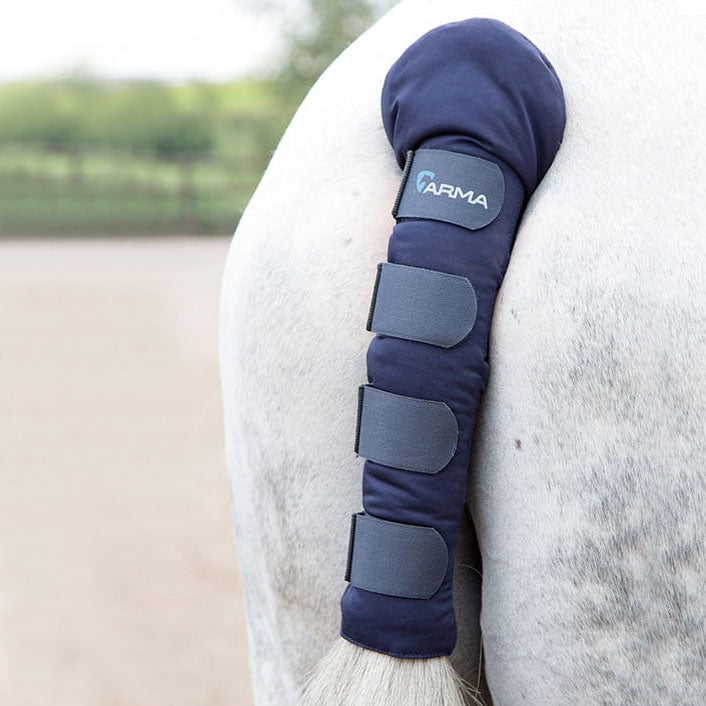 The Shires Arma Padded Tail Guard in Navy#Navy