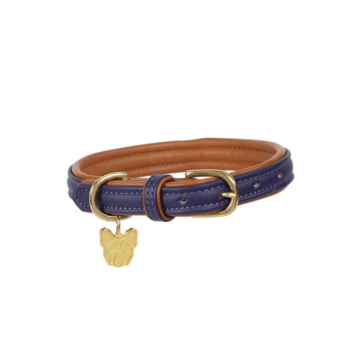 The Digby & Fox Padded Leather Dog Collar in Purple#Purple