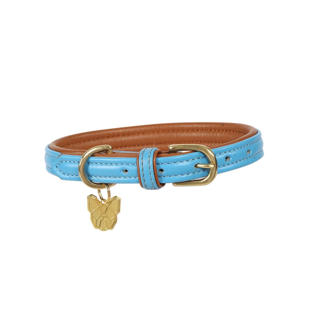 The Digby & Fox Padded Leather Dog Collar in Blue#Blue
