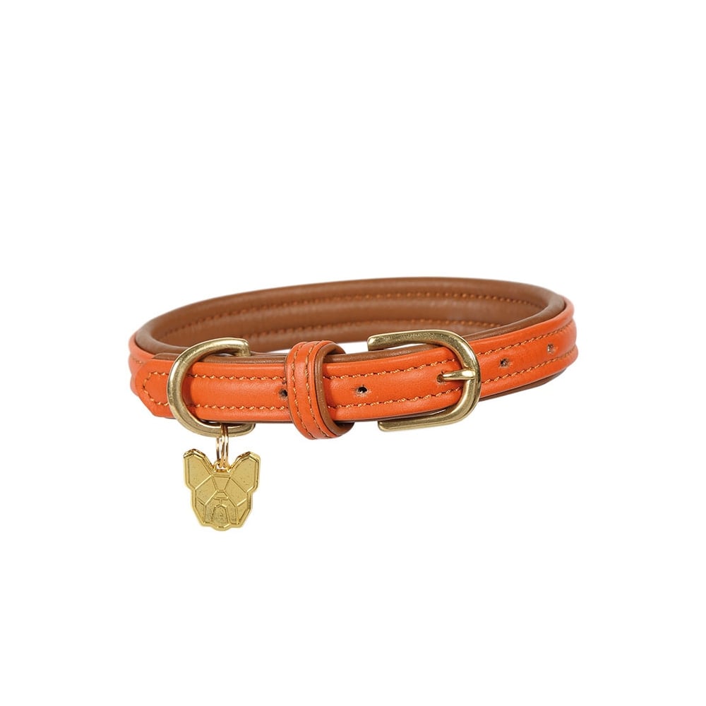 The Digby & Fox Padded Leather Dog Collar in Orange#Orange