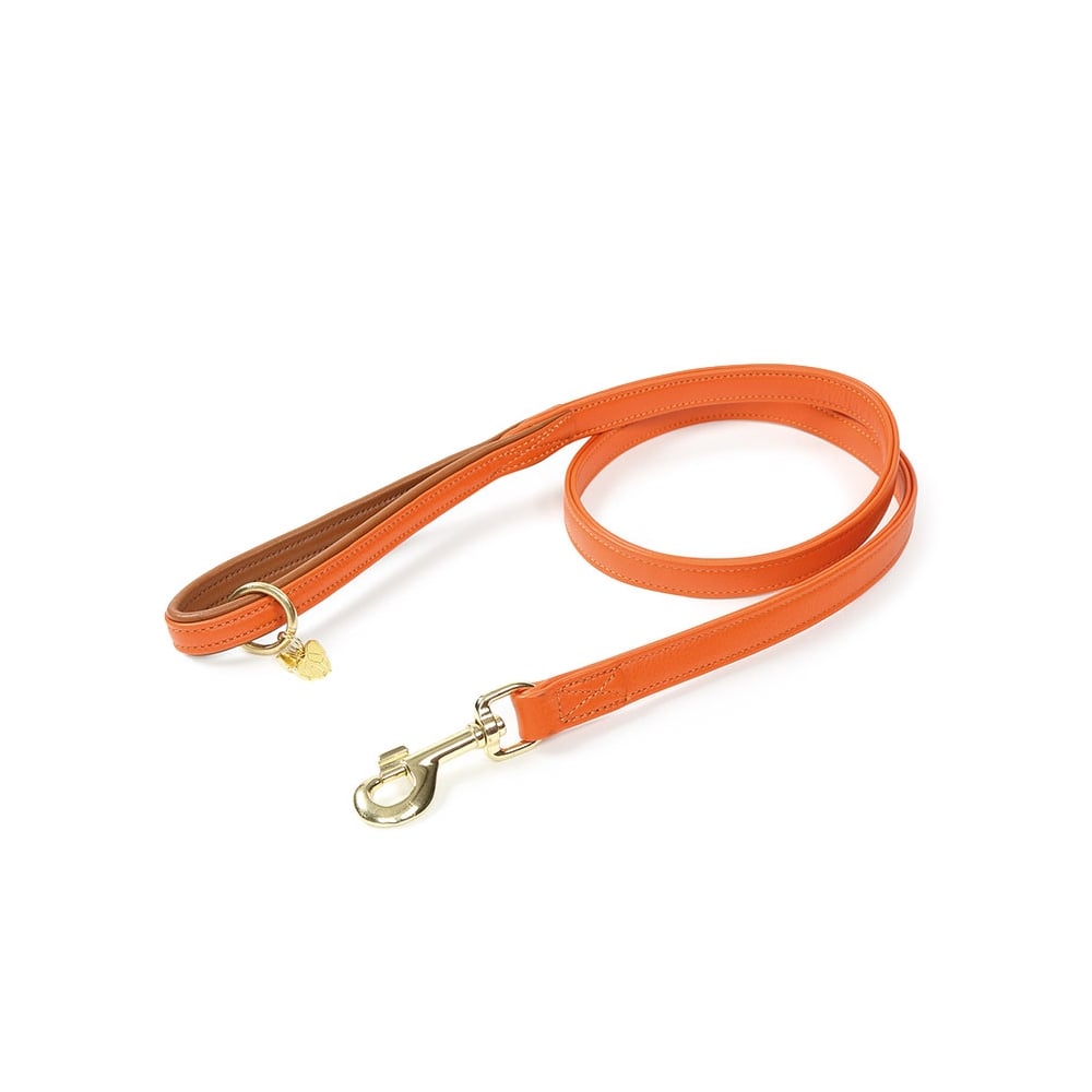 Digby & Fox Padded Leather Dog Lead in Orange#Orange