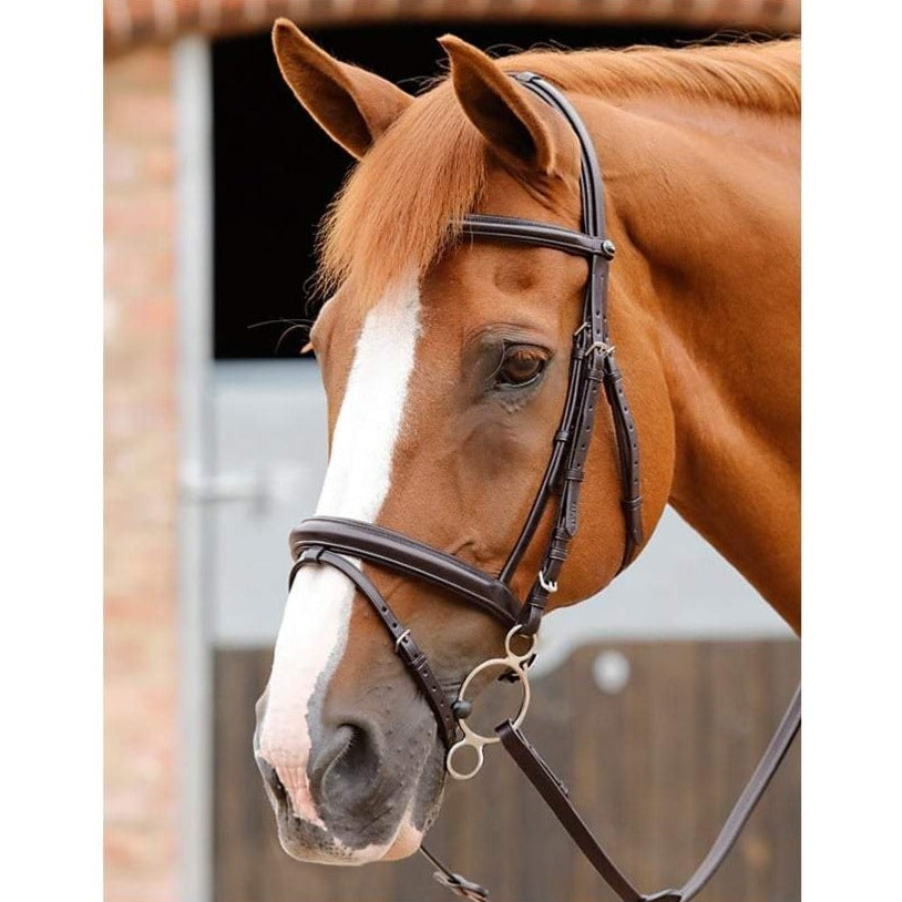 The Premier Equine Delizioso Snaffle Bridle with Flash Noseband in Brown#Brown