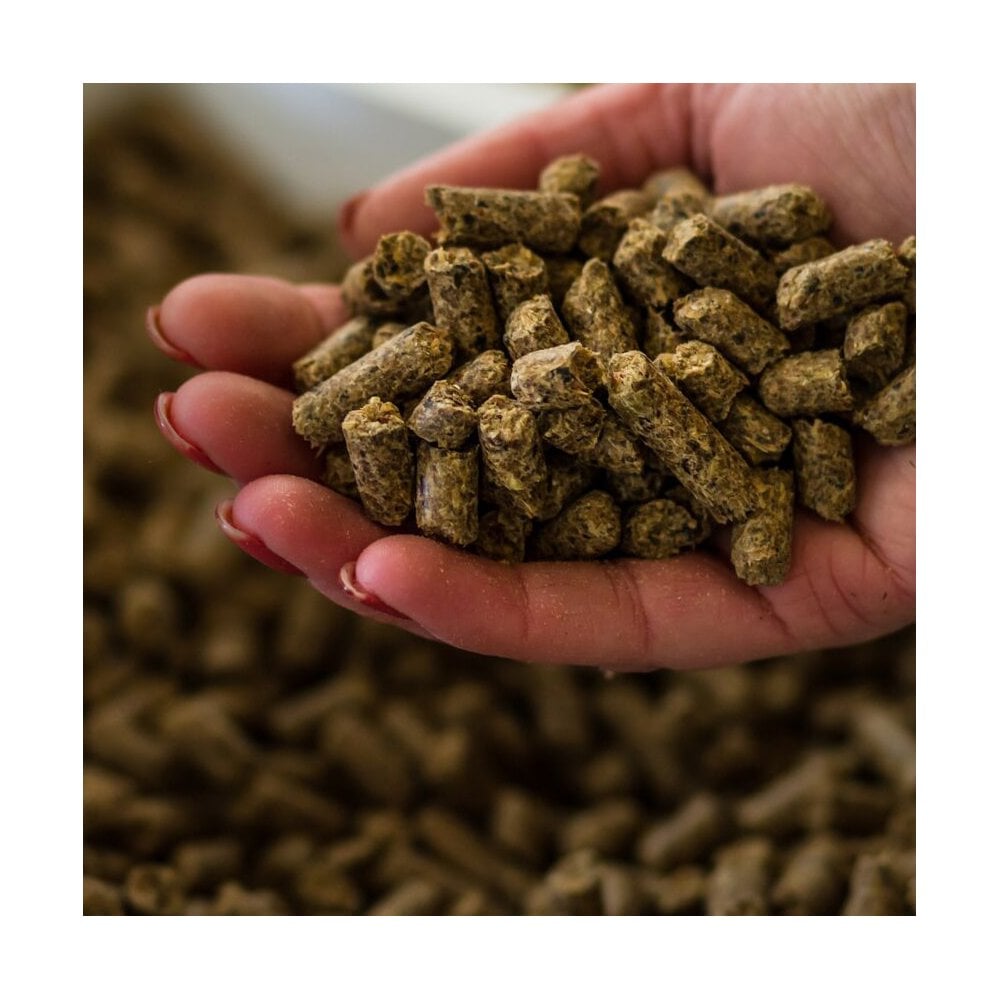 Pure Feed Company Pure Condition Pellets