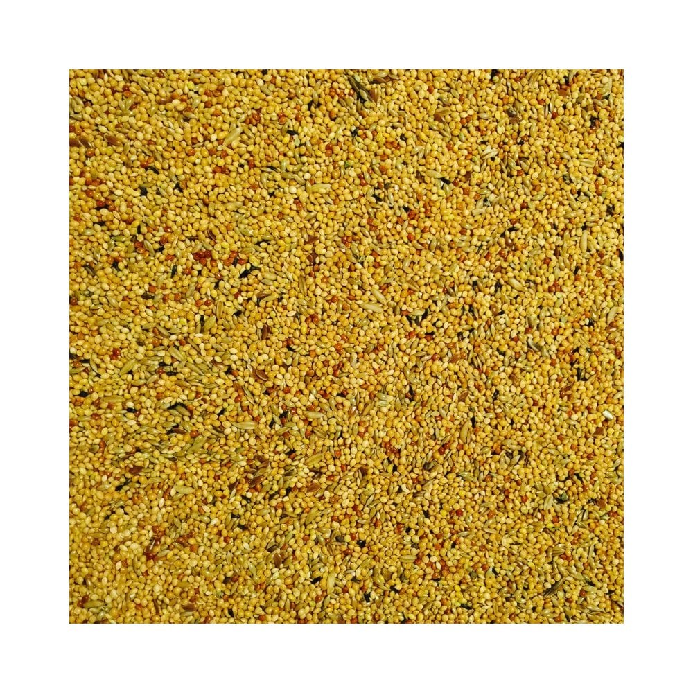 Bucktons Foreign Finch Feed