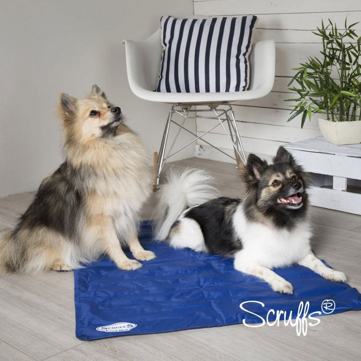 The Scruffs Cool Mat for Pets in Blue#Blue