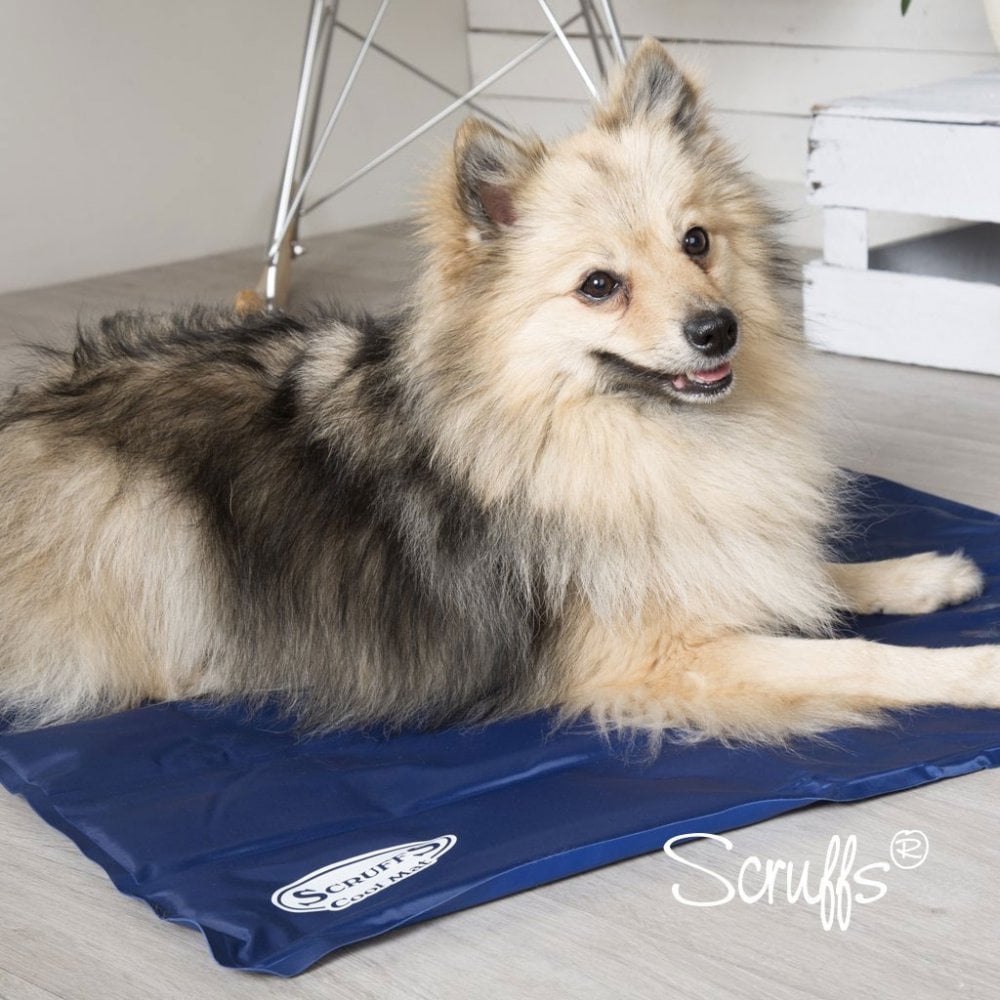 Scruffs Cool Mat for Pets#Blue