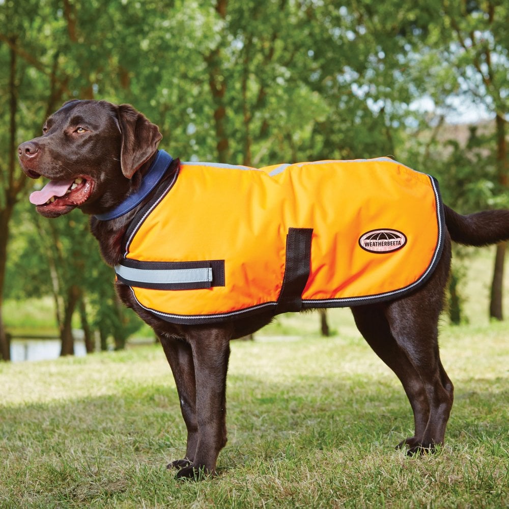 The Weatherbeeta Reflective Dog Rug in Orange#Orange