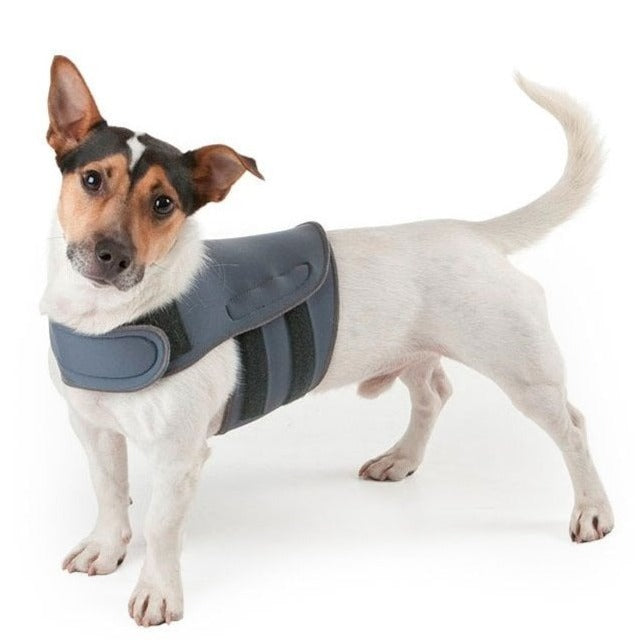 The Petlife Karma Wrap for Dogs in Grey#Grey