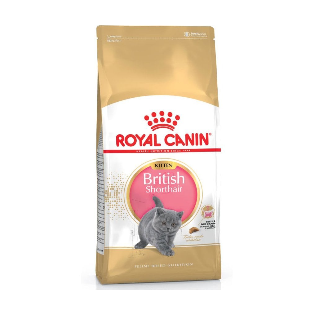Royal Canin British Short Hair Complete Dry Kitten Food