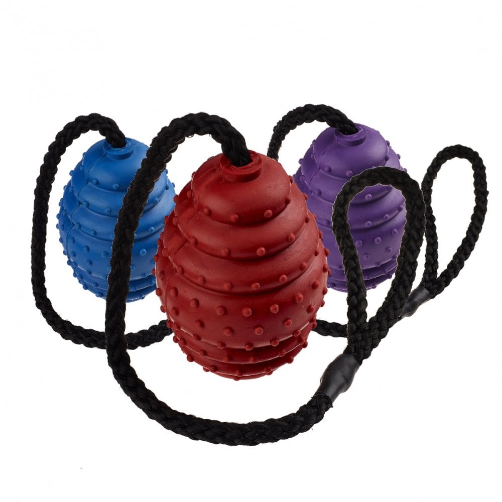 Classic Rubber Oval Ball on a Rope Dog Toy S