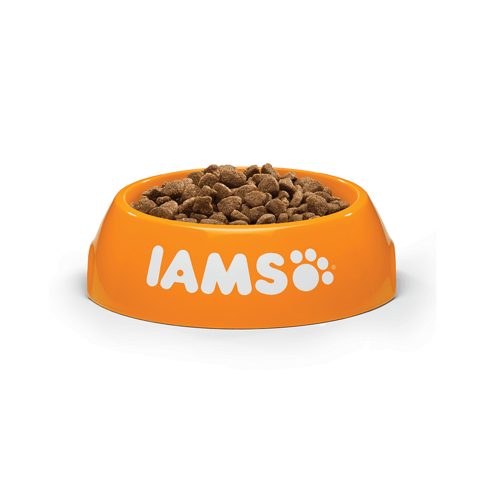 Iams Adult Vitality Dry Cat Food with Ocean Fish 2kg