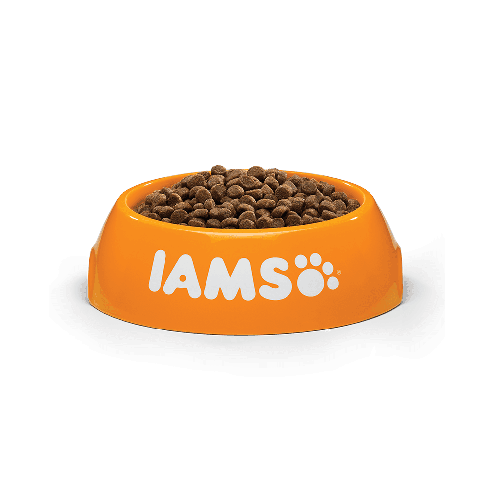 Iams Vitality Kitten Complete Dry Food with Chicken