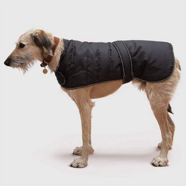 The Danish Design Harness Compatible Dog Coat in Black#Black